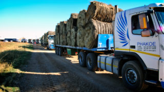 Phakoe Transport Solutions 