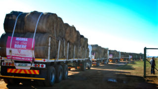 Phakoe Transport Solutions 